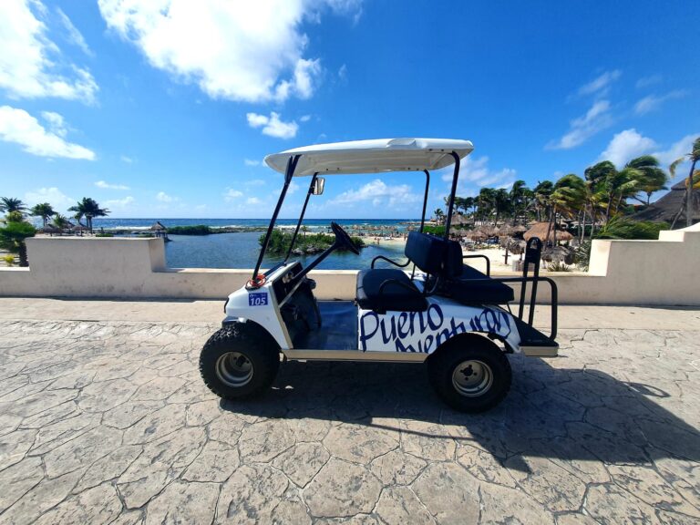 Carrito de golf estandar club car DC